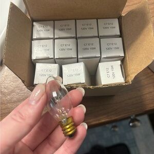C7 E12 120V 15W Light Bulbs
